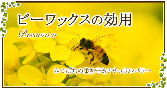 蜜蝋の効果や効能！蜜蝋クリームの肌への効果やデメリットって？