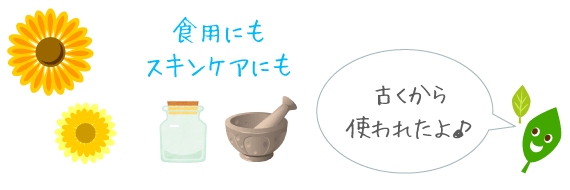 カレンデュラは、古くから食用やスキンケアに使われて来た