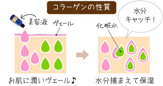 水分を集めて保湿＆潤いのヴェールを作る