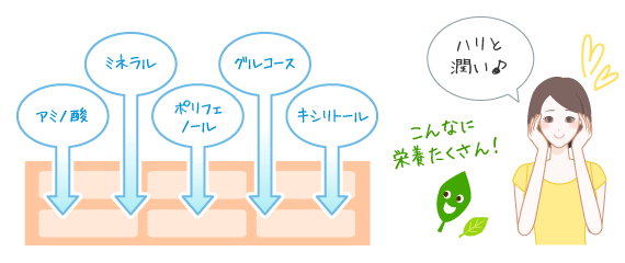 お肌にハリと潤い