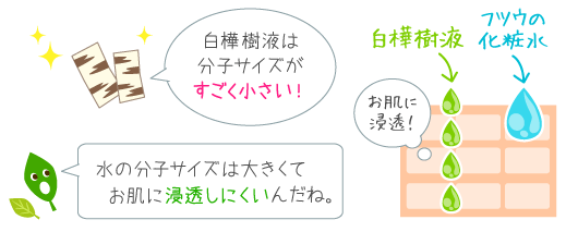 普通の水だと、分子サイズが大きくて、なかなか浸透しないんです！