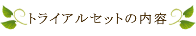 トライアルセットの内容