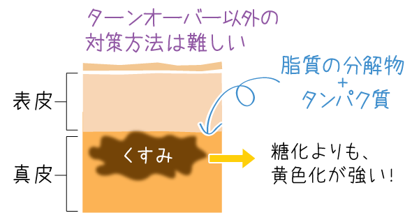 カルボニル化を簡単図解