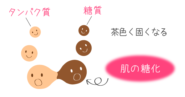 糖化とは？