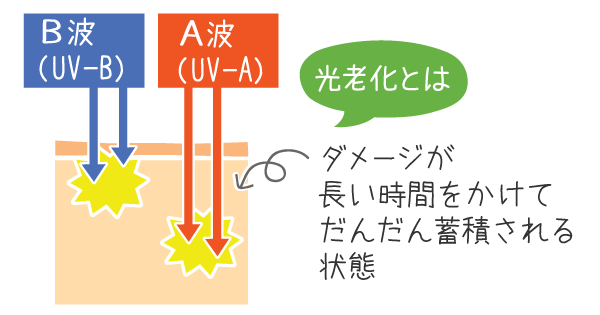 光老化で肌にダメージが蓄積