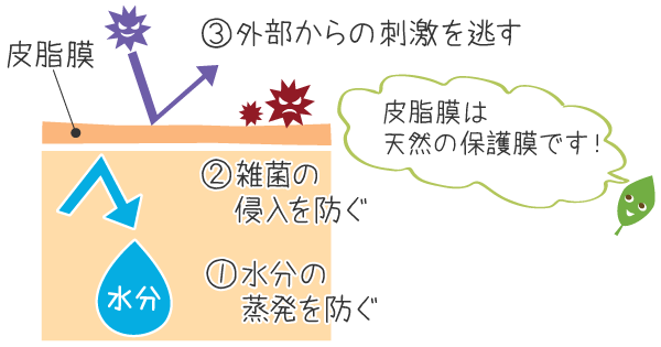 皮脂膜の３つの役割