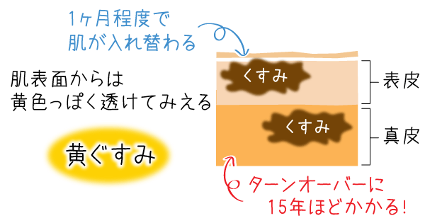 黄ぐすみの図解