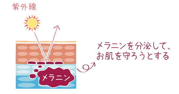 メラニンはお肌を守るサングラス