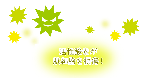 活性酸素やフリーラジカルが肌細胞を損傷！