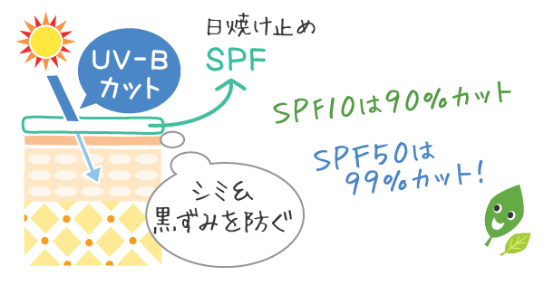 UVBをカットする指標